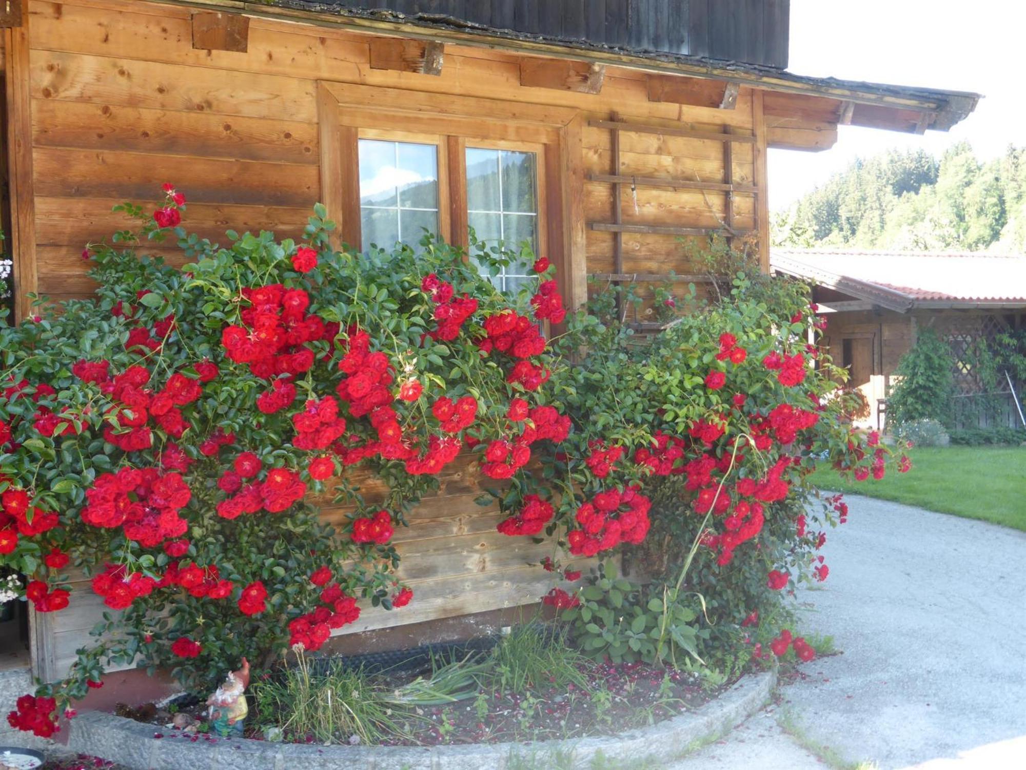 Vakantieboerderij Schwaighof