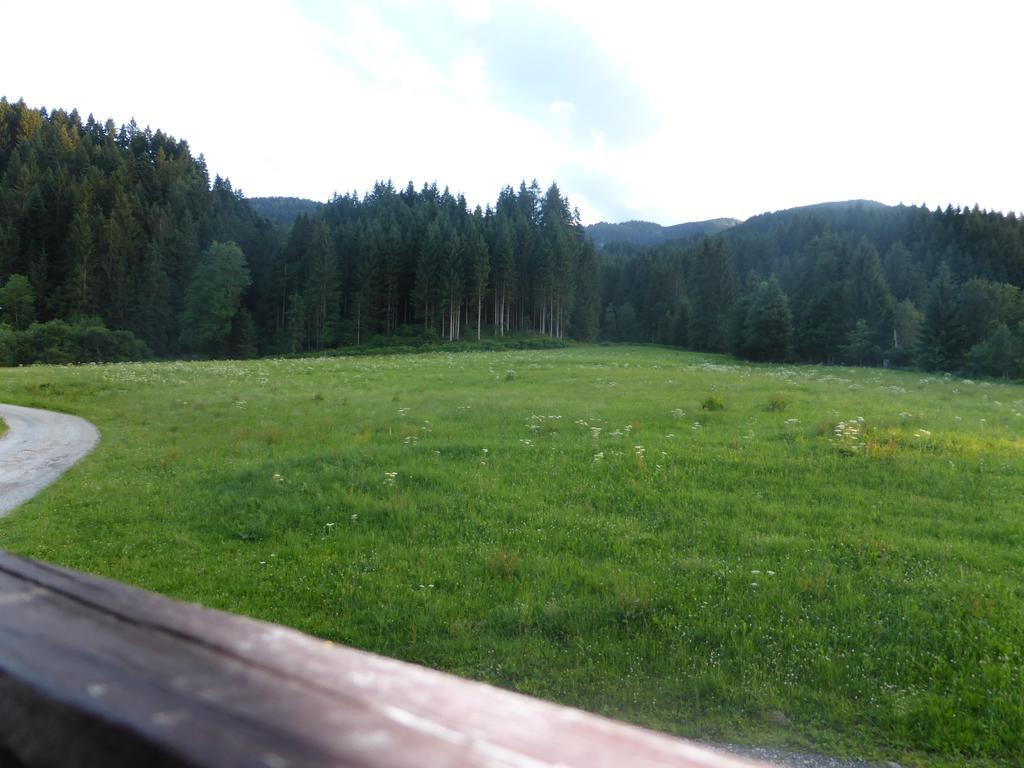Vakantieboerderij Schwaighof *