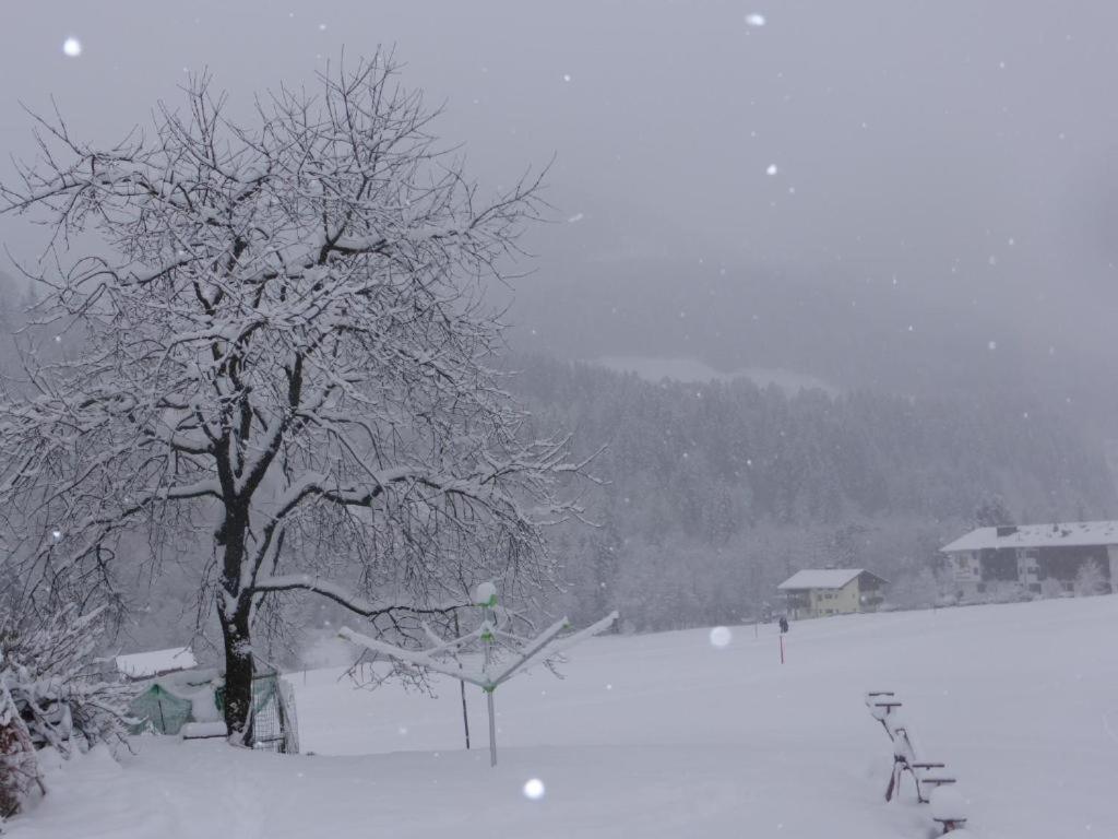 Schwaighof Farm stay *
