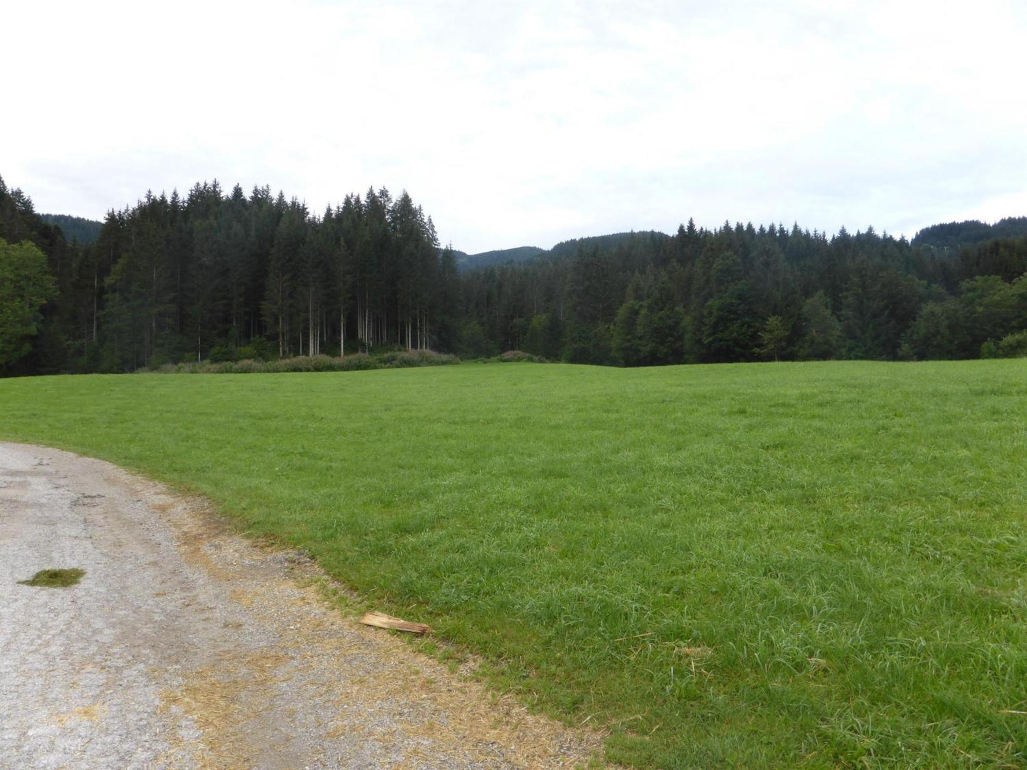 Schwaighof
