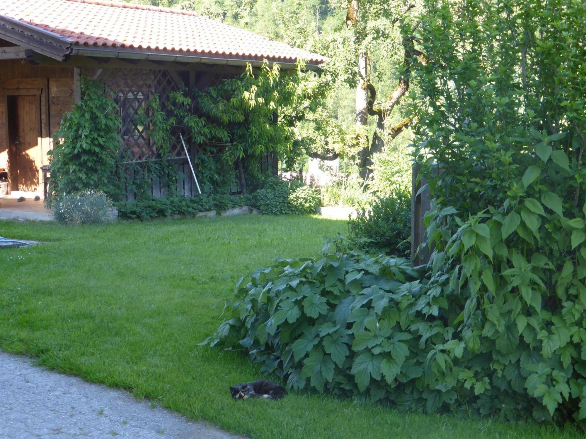 Schwaighof Farm stay